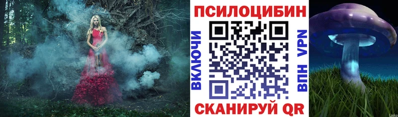 Псилоцибиновые грибы MAGIC MUSHROOMS  гидра зеркало  Волгодонск  как найти закладки 